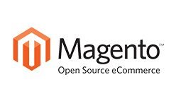 magento webshop software